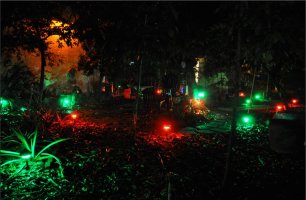 yard_night_rgb1.jpg