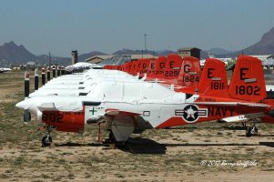 8154957814_a09b46dc6a_b (1).jpg