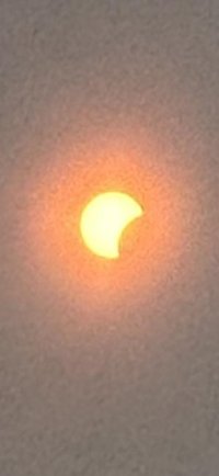 IMG_9404.jpeg