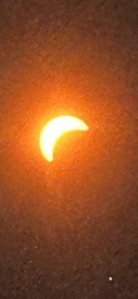 IMG_9428.jpeg