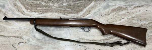 IMG_7536.jpeg