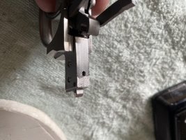 IMG_8534.jpeg