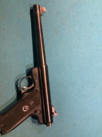 IMG_2123.jpeg