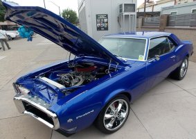 Firebird.JPG