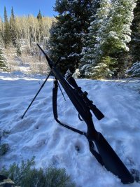 IMG_3394.jpeg