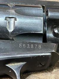 IMG_5696.jpeg