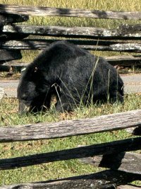 IMG_6537.jpeg