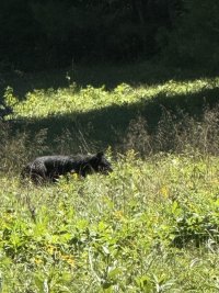 IMG_6542.jpeg