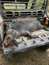 IMG_3933.jpeg