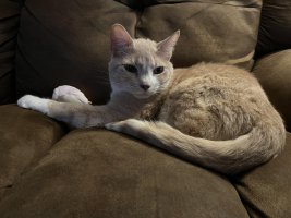 IMG_1548.jpeg