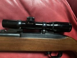 IMG_1731.jpeg