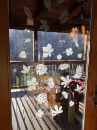 IMG_3104.jpeg