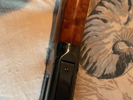 IMG_0243.jpeg