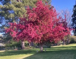 IMG_6041.jpeg