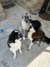 IMG_2619.jpeg