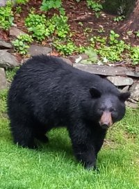 20250522_190434.jpg