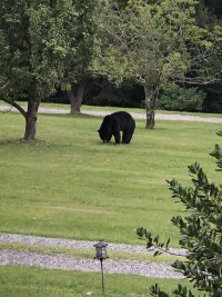 IMG_2650.jpeg