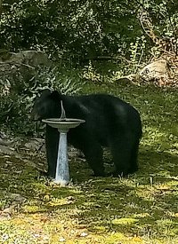 20230912_131257.jpg