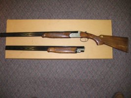 american arms 2 bbl 24-32.jpeg