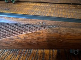IMG_2511.jpeg