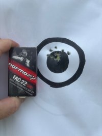 IMG_5382.jpeg
