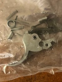 IMG_3551.jpeg