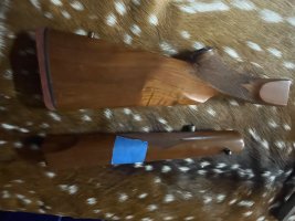 IMG_5116.jpeg