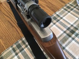 IMG_0814.jpeg