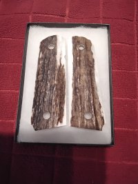 20251015_143741.jpg