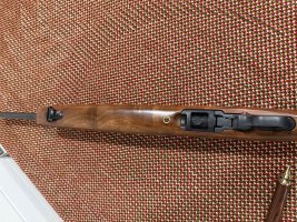 IMG_3886.jpeg