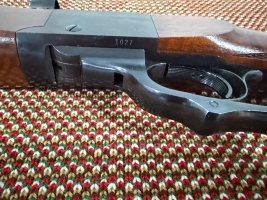IMG_3928.jpeg