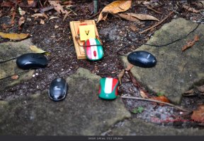 mafia mouse caught_rc.jpg