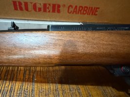 IMG_4011.jpeg