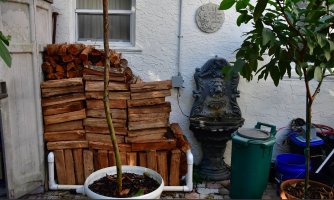 stacked firewood.jpg