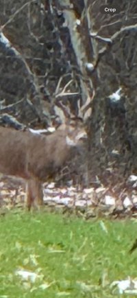 54965191846_c072ed7f7d_c.jpg