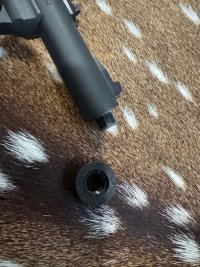 IMG_3833.jpeg