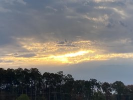49FF74C8-6677-418A-BD50-B3C7269FBC37.jpeg
