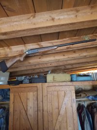 Stevens Shotgun.jpg