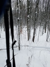20181117_091945.jpg