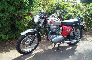 1968 a65 left.jpg