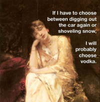Shovel Vs Vodka.png