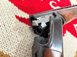 IMG_5071.jpeg