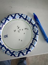 IMG_3714.jpeg