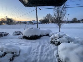 IMG_8119.jpeg