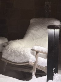 IMG_3923.jpeg
