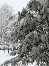 IMG_0834.jpeg