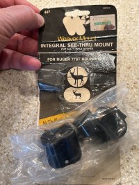 IMG_7908.jpeg