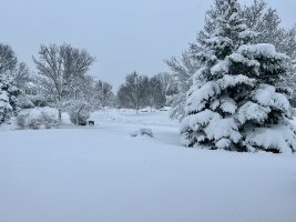 IMG_8977.jpeg