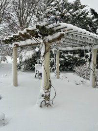 IMG_8975.jpeg