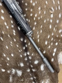 IMG_4276.jpeg